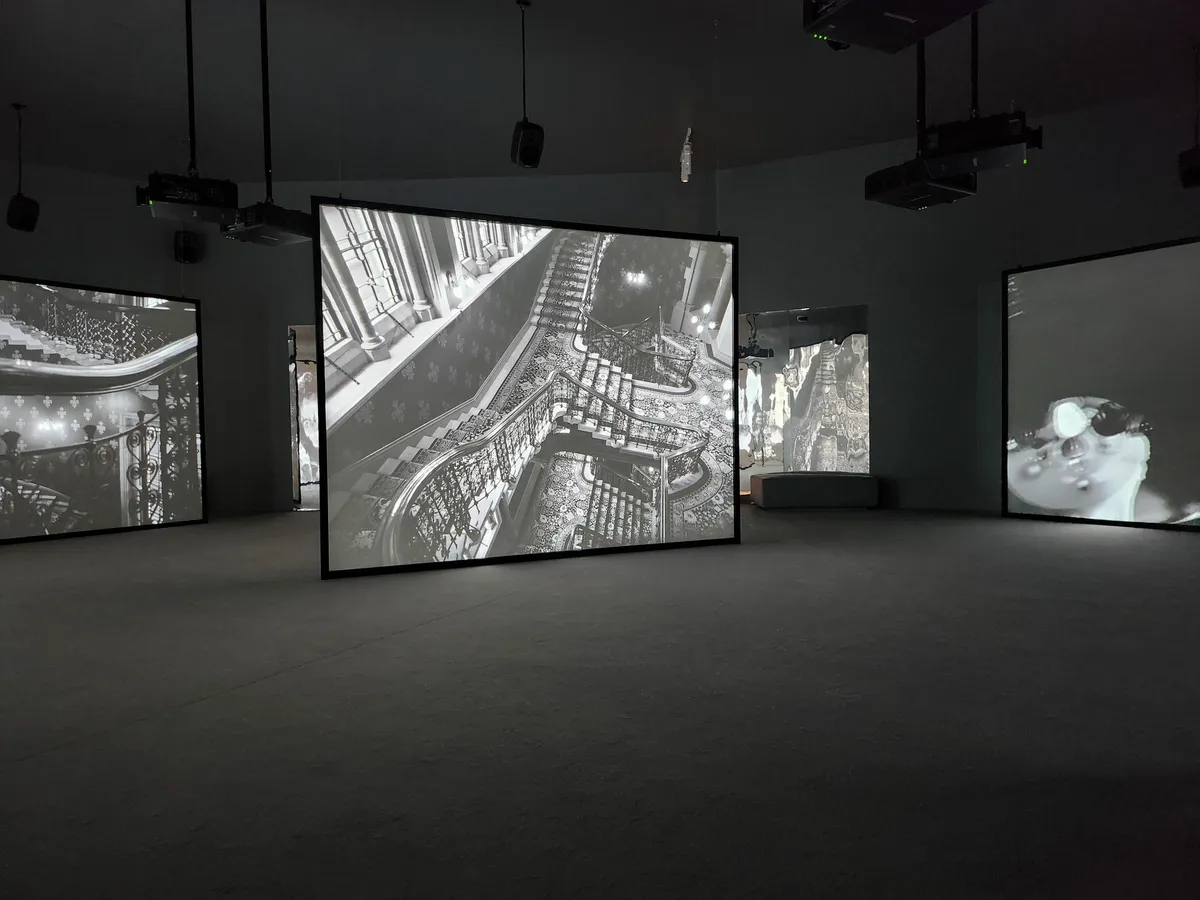 Isaac Julien Gallery Image 4